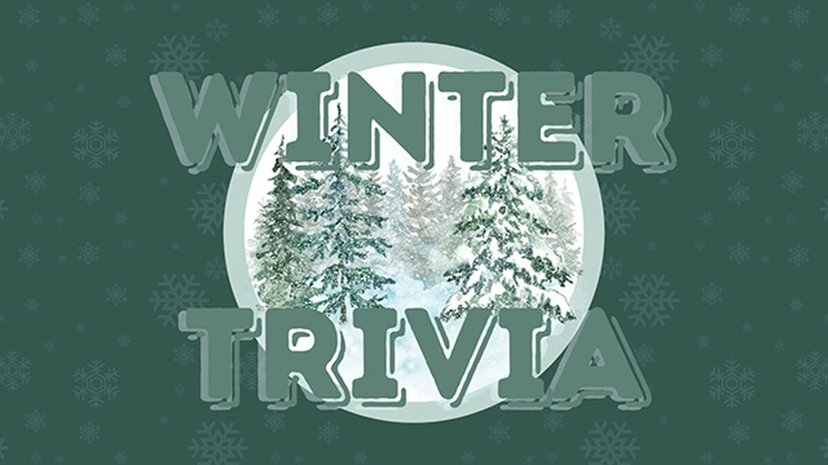 Winter Trivia image number null